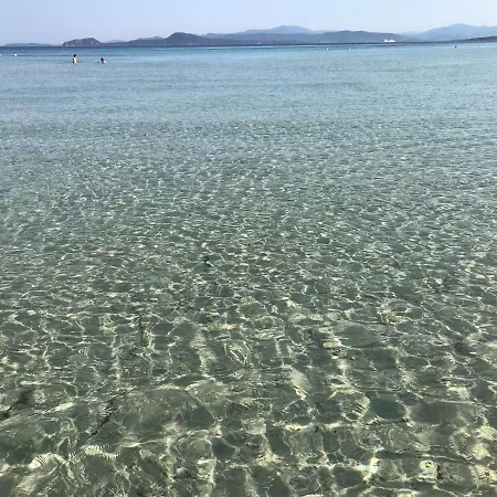 Gli Oleandri Olbia